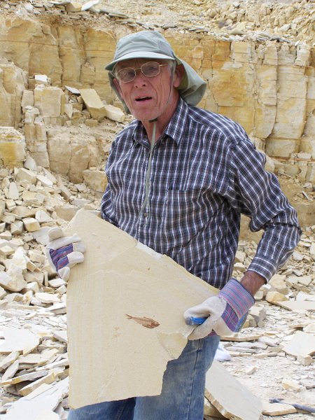 No 68 Warfield Fossils, Wyoming, Success, as Larry shows here. Most of the fish are small and many are well defined. .JPG